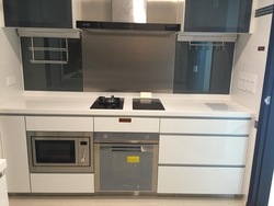 The Vision (D5), Condominium #490310561